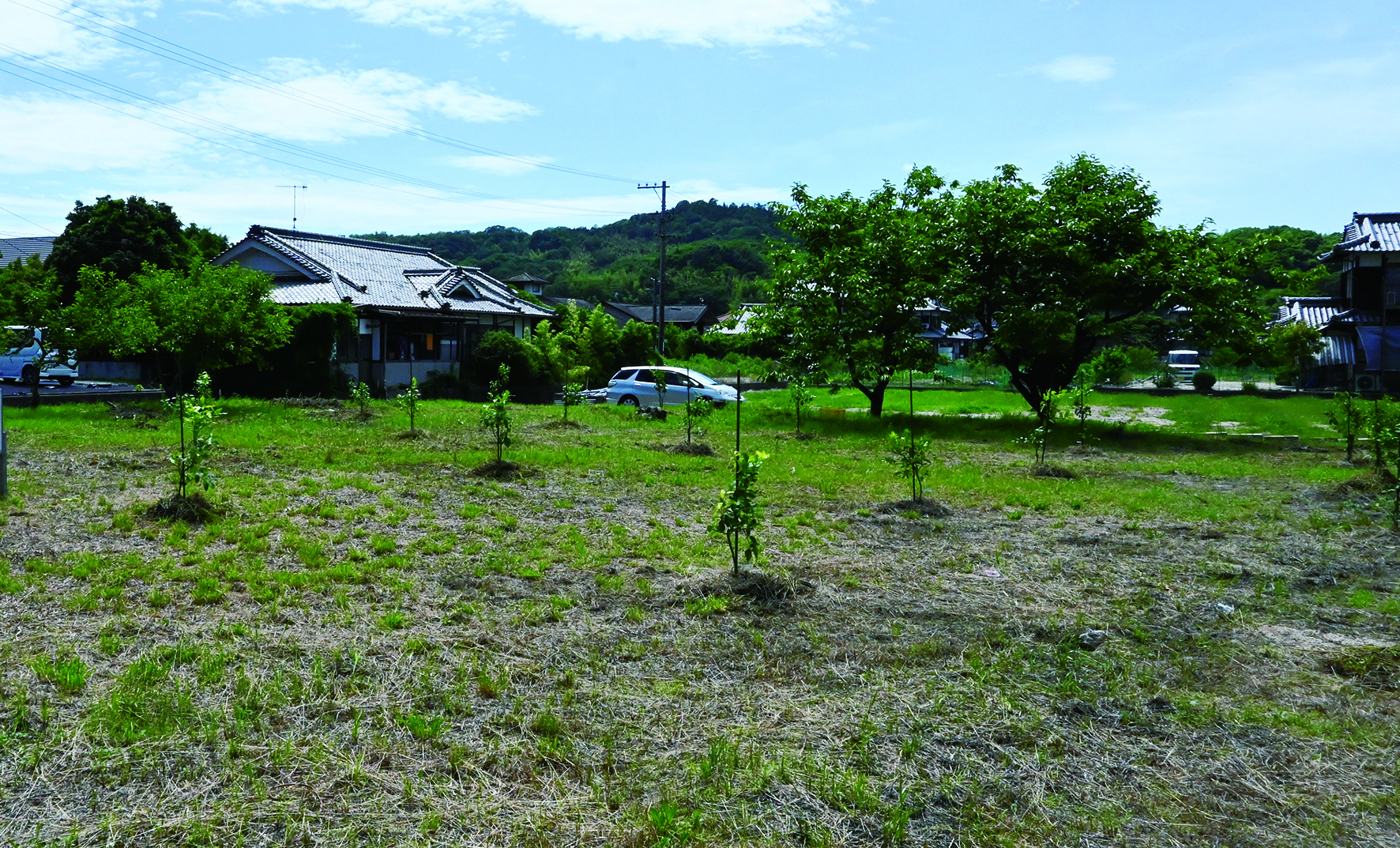 20250616_kanokawa.JPG