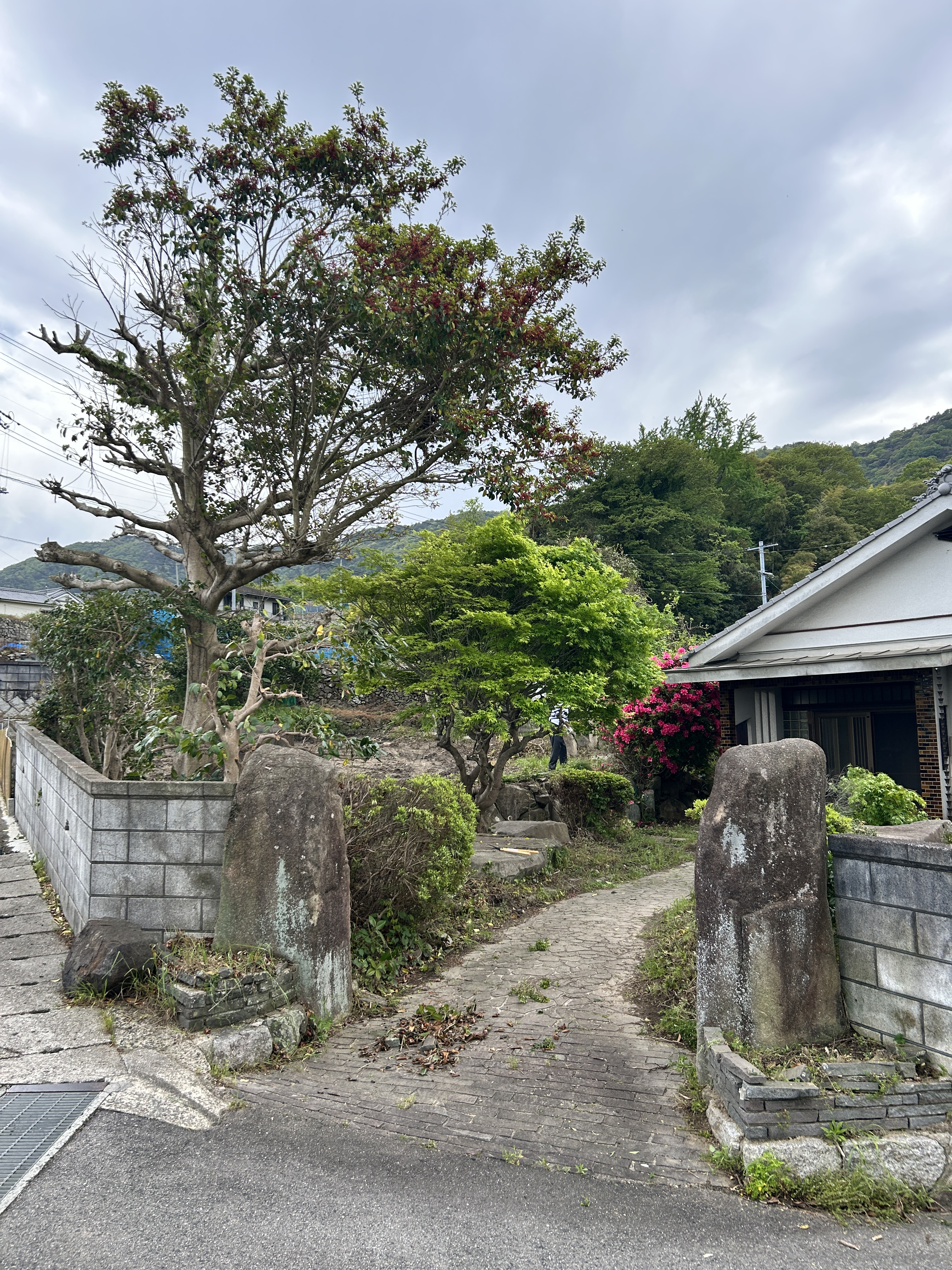 整備前の高田のおうちの庭