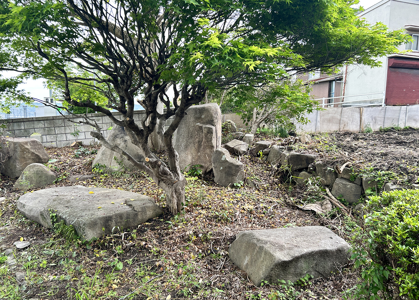 整備後の高田のおうちの庭