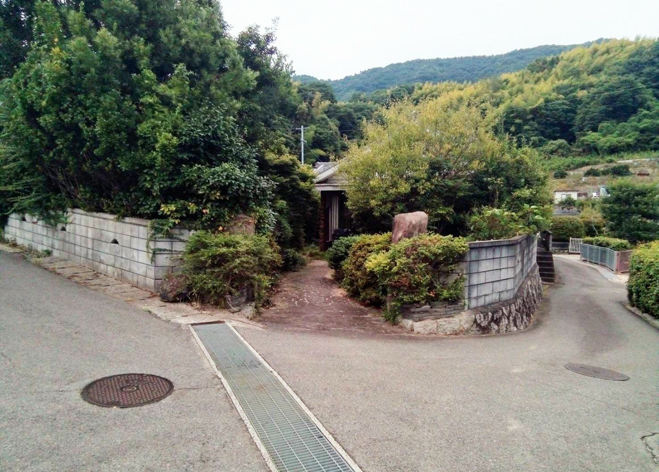 整備前の高田のおうちの庭