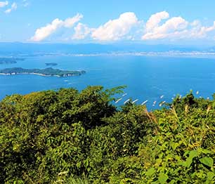 江田島レモン