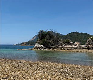 江田島レモン